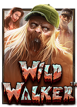 เว็บ แทง ไก่ชนเกม xo ออนไลน์ เล่นง่ายทำเงินได้จริง